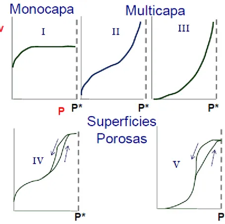 FIGURA 2.12. Isotermas Experimentales  FUENTE:(Valencia) 