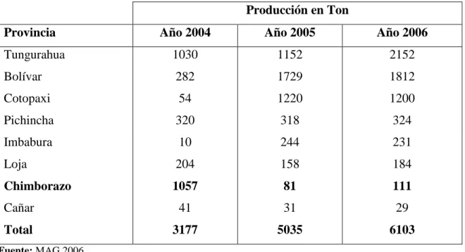 CUADRO 2. PRODUCCIÔN DE REMOLACHA EN ECUADOR EN LOS AÑOS 2004,  2005 Y 2006. 