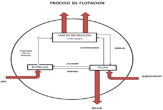 Figura 4 Representación esquemática del proceso de flotación 