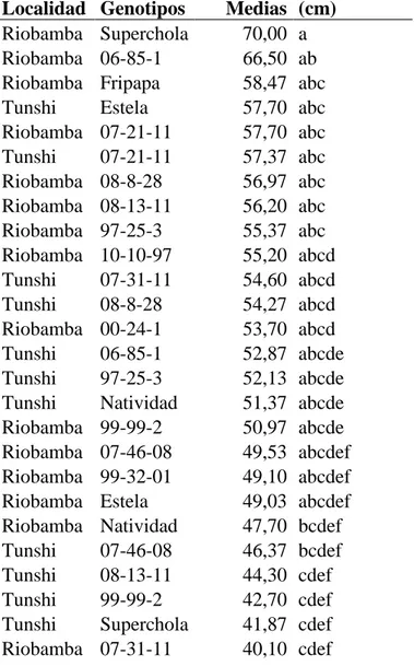 Cuadro  23.  Medias  por  localidades  de  la  altura  de  planta  (cm)  a  los  75  días  de  la  siembra