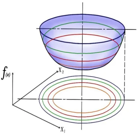 Figura N° 2.5. Geometría de una función objetivo cuadrática de dos variables   independientes:  contornos  elípticos