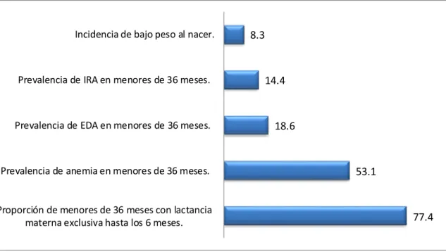 GRÁFICO 1 