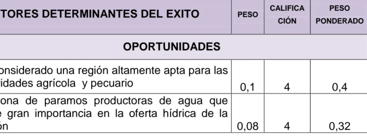 Tabla 17. Matriz EFE 