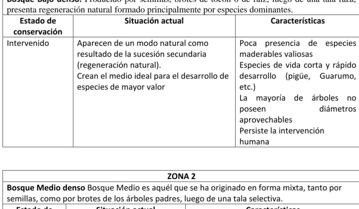 Cuadro 11.- clasificación del bosque y estado de conservación en el área  ZONA 1 