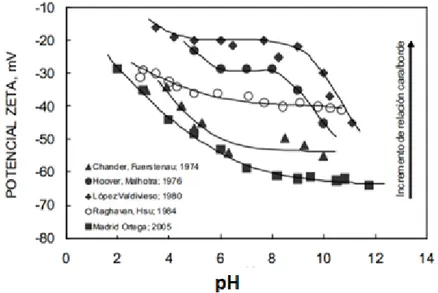 Figura N° 2.4 Potencial zeta de muestras de molibdenita en función del pH.  