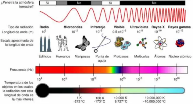Figura N°3: Ubicación de la longitud de onda del sonido en el Espectro  Electromagnético 