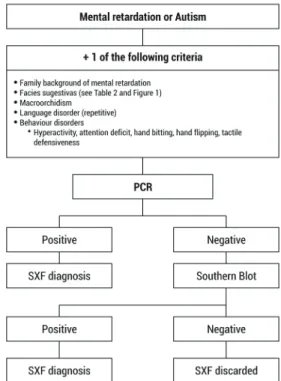 Figure 1. Description of the typical phenotypic characteristics of Fragile X  Syndrome.