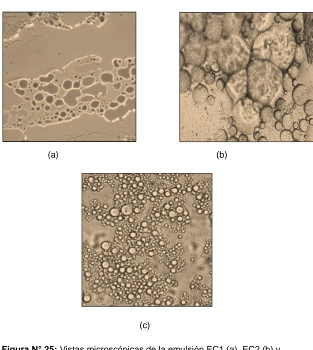 Figura N° 25: Vistas microscópicas de la emulsión EC1 (a), EC2 (b) y  EC3 (c) con aumento de 40X