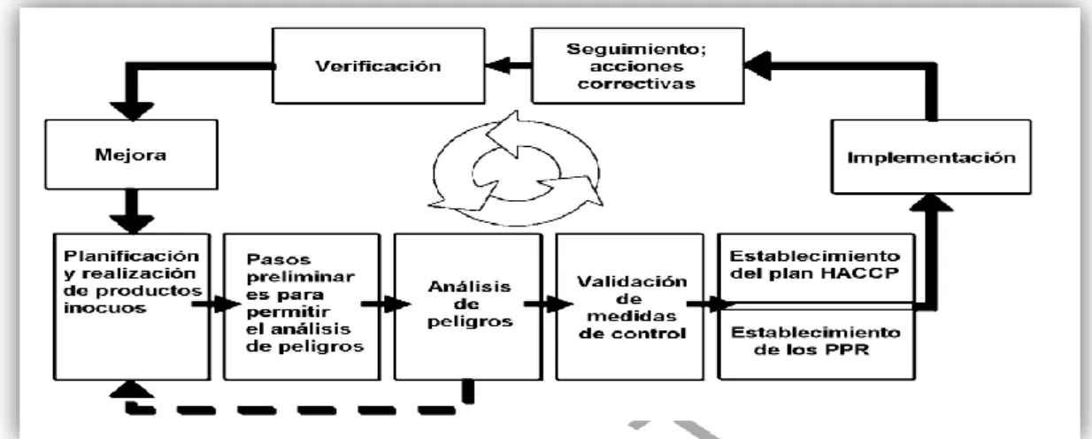 GRÁFICO N° 01 