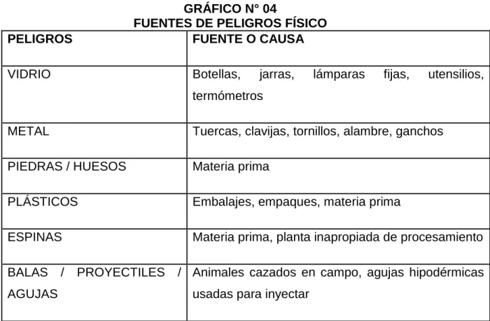 GRÁFICO N° 04 