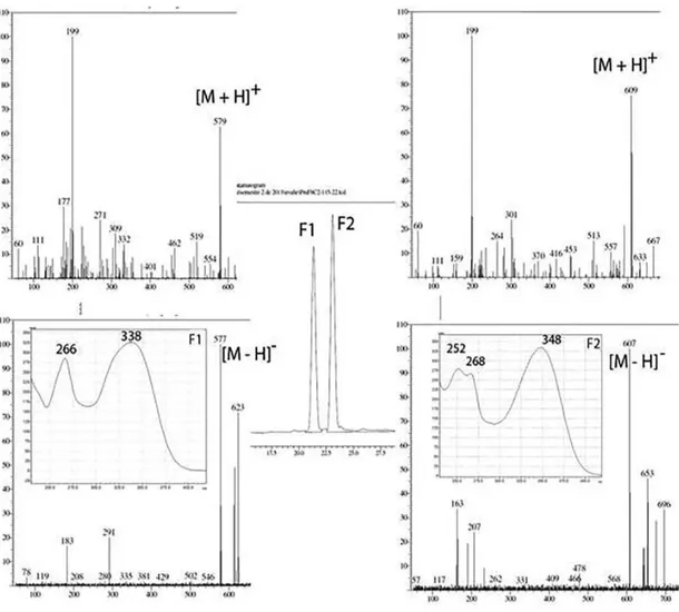 Figure 3. HPLC-DAD-ESI-Mass Spectral Analysis of flavonoids from Pilea microphylla.