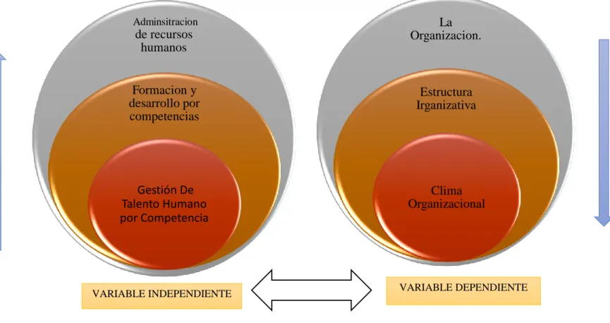 Gráfico 3: Categorías fundamentales  