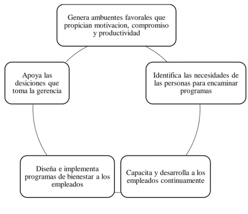 Gráfico 4: Importancia 