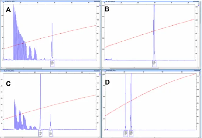 Figura  2.3.  Electroferogramas  con  alelos  del  gen  FMR1  en  rango  de  zona  gris,  imágenes  de  electroforesis  capilar  de  PCR  usando  cebadores  F  (Forward)  y  R  (reverse)