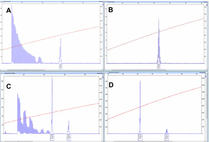 Figura 2.4. Electroferogramas con alelos del gen FMR1 en rango de premutación,  imágenes  de  Electorforesis  capilar  de  PCR  usando  cebadores  F  (Forward)  y  R  (reverse)