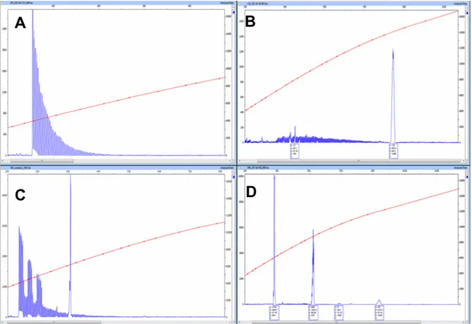 Figura  2.5.  Electroferogramas  con  alelos  del  gen  FMR1  en  rango  de  mutación  completa,  imágenes  de  electroforesis  capilar  de  PCR  usando  cebadores  F  (Forward)  y  R  (reverse)