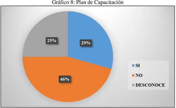 Gráfico 8: Plan de Capacitación 