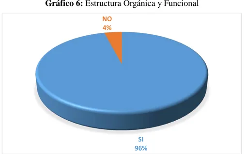 Gráfico 6: Estructura Orgánica y Funcional 