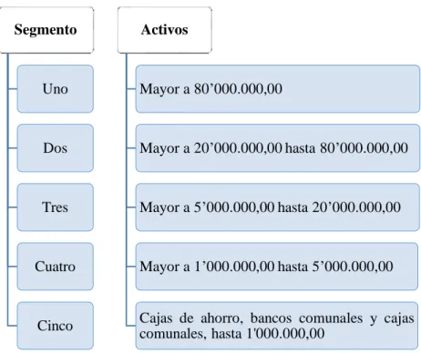 Figura 3: Segmentación entidades SEPS 