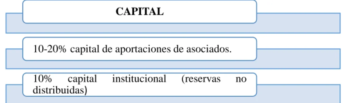 Figura 9: Estructura Financiera Eficaz-Capital 