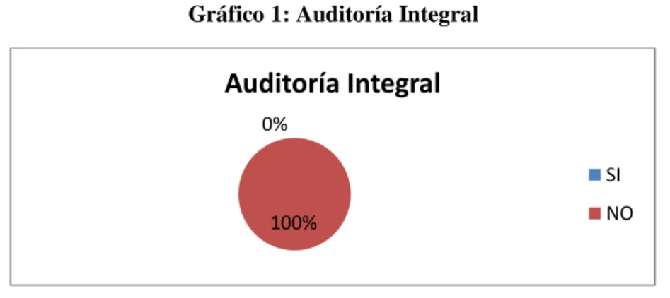 Gráfico 1: Auditoría Integral 