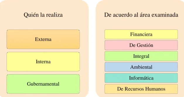 Gráfico 1:  Clasificación de la Auditoría 