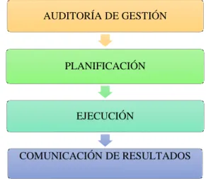 Gráfico 2: Proceso de la Auditoria de Gestión 