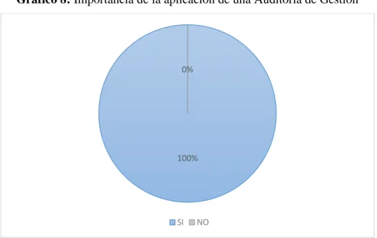 Gráfico 8: Importancia de la aplicación de una Auditoría de Gestión 