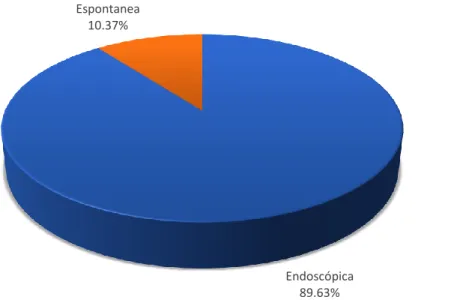 Gráfico 4 