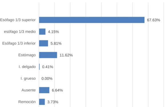 Gráfico 6 