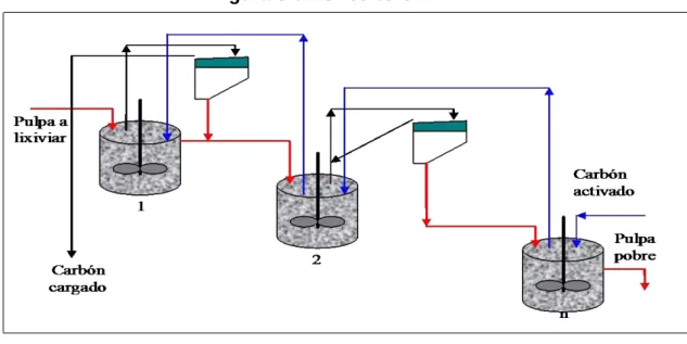 Figura 3.6.: Circuito CIP 