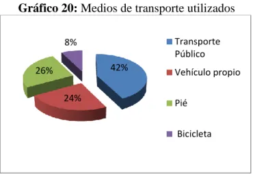 Gráfico 20: Medios de transporte utilizados 