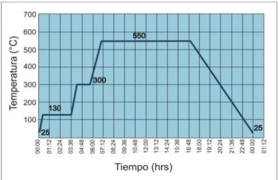 Figura N°10: Rampas de Operación en Hornos Retorta. 