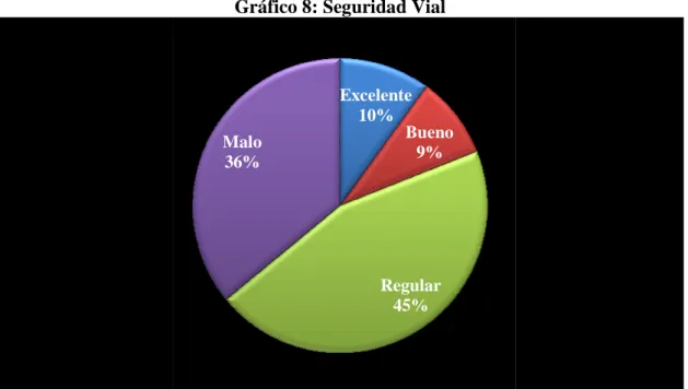 Gráfico 8: Seguridad Vial