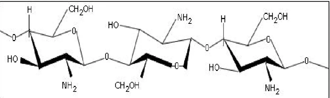 Figura N° 2.4. Estructura del chitosan.