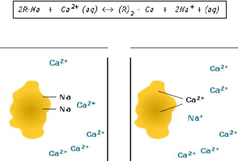 Figura N° 2.7. Esquema de la reacción de intercambio iónico.