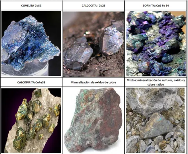 Figura 1.2.  Minerales de cobre 