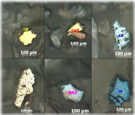 Figura 1.5.  Especies mineralógicas enviadas a la sección de flotación (iii) 