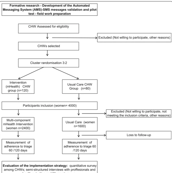 Fig. 2 Flowchart of the ATICA cluster randomized trial. CHW community health worker