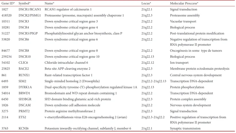 Table 2. Names and symbols of different structures of  Limbic Lobe  and Cerebral Nuclei