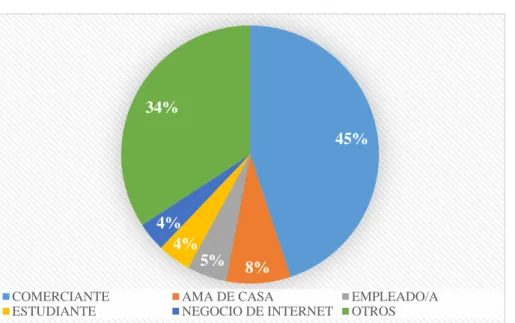 Gráfico 3: Ocupación 