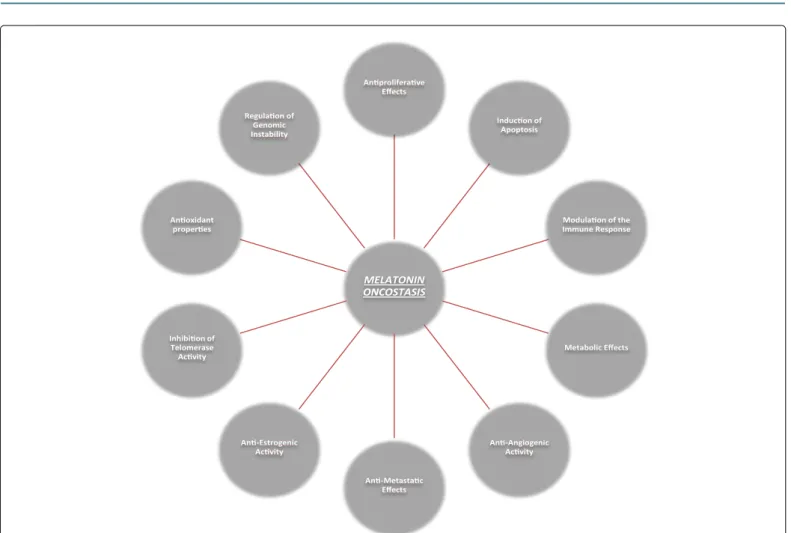 Figure 1: The several mechanisms through which melatonin can exert oncostatic effects