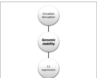 Figure 3D:  Melatonin  effects  on  genomic  instability  comprise  regulation  of  circadian  gene  disruption  and  normalization  of  L1  retrotransposon  expression
