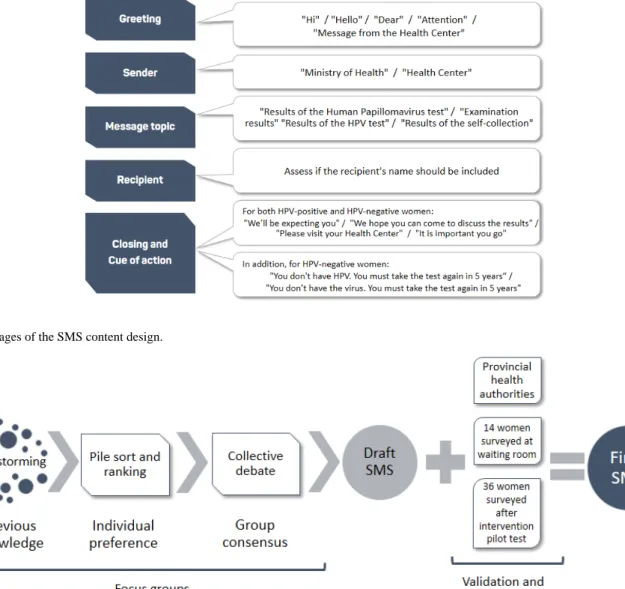 Figure 1.  Different versions of the structural elements of the SMS used in focus groups
