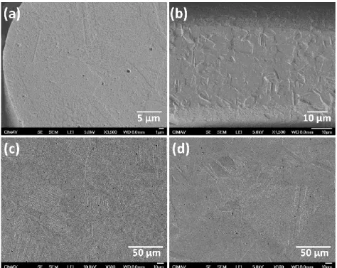 Figure 2. SE-SEM images of the AISI 304L samples: (a) cross; and (b) longitudinal sections  of fibers; and (c) cross; and (d) longitudinal sections of bulk material