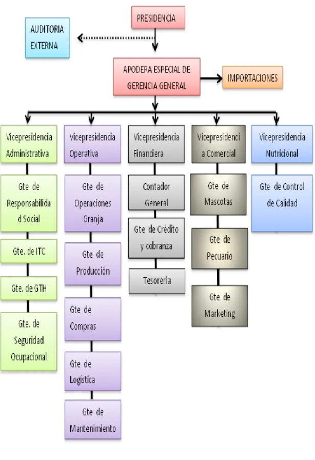 Gráfico  7: Organigrama estructural 