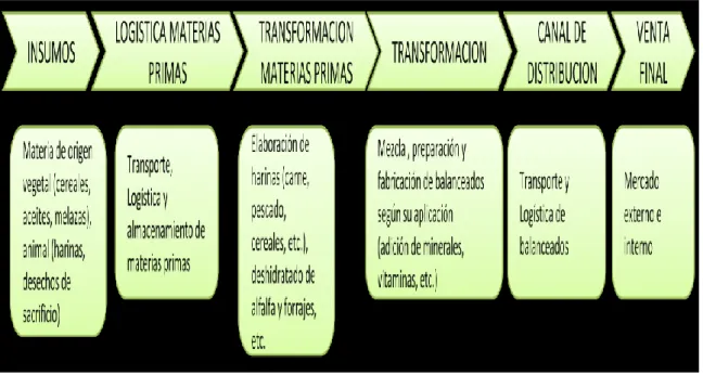 Gráfico  9: Proceso de elaboración 