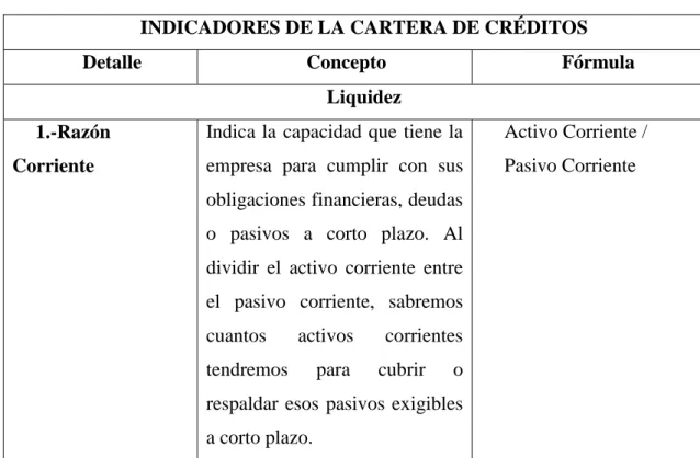 Tabla 1: Indicadores de la cartera de créditos 