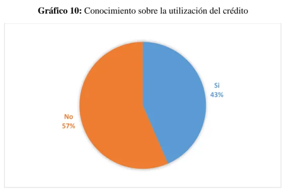 Gráfico 10: Conocimiento sobre la utilización del crédito 