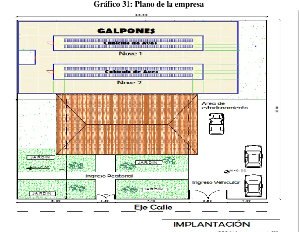 Gráfico 31: Plano de la empresa